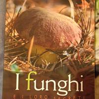 libro: i funghi e i loro segreti