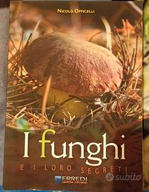 libro: i funghi e i loro segreti