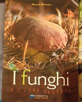libro: i funghi e i loro segreti