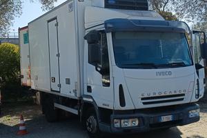 Iveco isotermico con gruppo frigorifero 2005 - 3.9