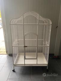Voliera x papagalli