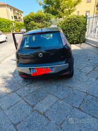 fiat punto Evo 1300 Multijet 