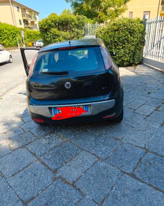fiat punto Evo 1300 Multijet 