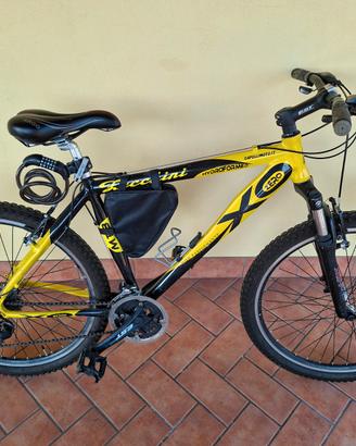 Bicicletta MTB Zecchini