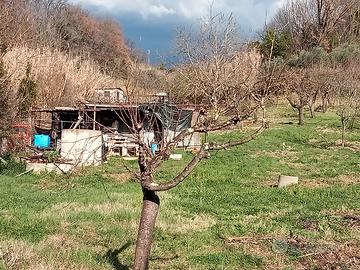 Terreno agricolo