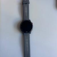 Garmin Forerunner 255