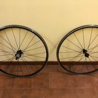 Ursus hybrida tubolari