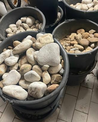 Sassi per giardinaccio