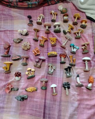 lotto funghi in ceramica 