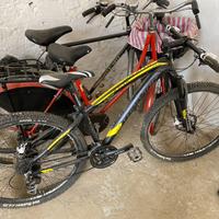 Bici mountain bike