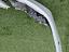 Immagine 11