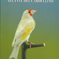 Atlante del Cardellino di Natale e Pidalà - Alcedo