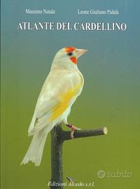Atlante del Cardellino di Natale e Pidalà - Alcedo