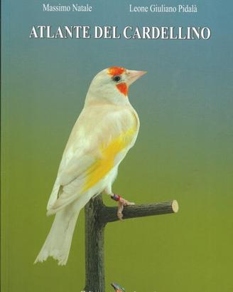Atlante del Cardellino di Natale e Pidalà - Alcedo