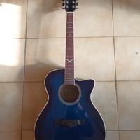 Chitarra Acoustica Elettrificata EKO  NXT A100