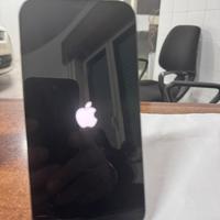 iPhone 12 Pro Max 256 gb