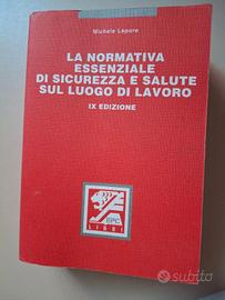"La normativa essenziale di sicurezza e salute ...