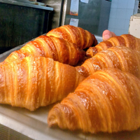 Pasticcere rosticcere gelatiere