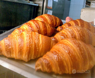 Pasticcere rosticcere gelatiere