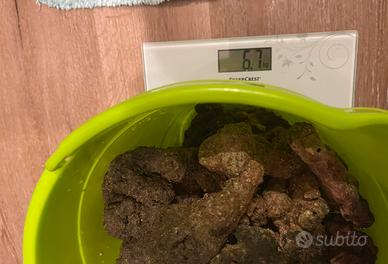 Rocce Per Acquario Marino