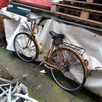 Bici da donna