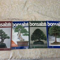 Rivista bonsai italia