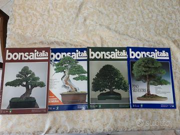 Rivista bonsai italia