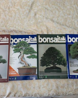 Rivista bonsai italia