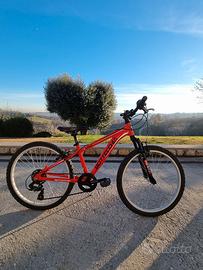 Bicicletta Bottecchia 24" 