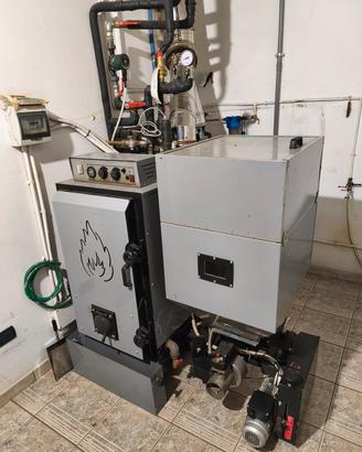 caldaia a biocombustibili 