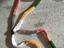 Immagine 3
