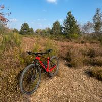 Mtb trek procaliber 9.5 2024 taglia L carbonio
