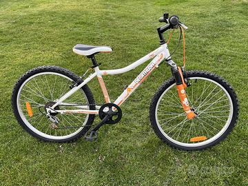 Bici Bambino 24"