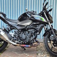 Kawasaki Z500 2024