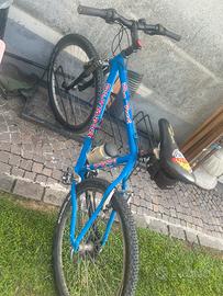 mountain bike Olimpia Pro Tech colore blu