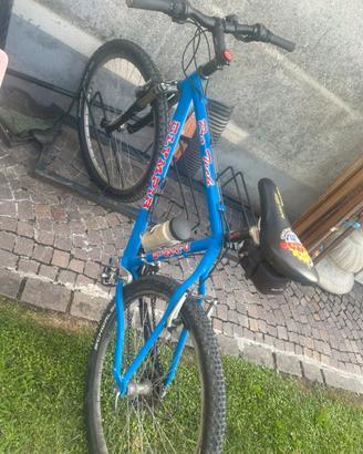mountain bike Olimpia Pro Tech colore blu