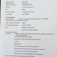 Curriculum Vitae 