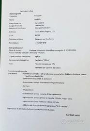 Curriculum Vitae 