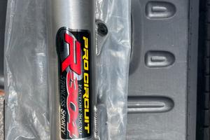 Silenziatore Pro Circuit R304 shorty