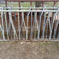 Autocattura/autocatturanti ovini