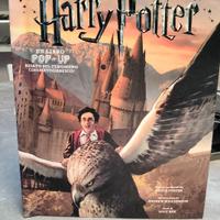 Harry Potter libro pop up prima edizione 2016