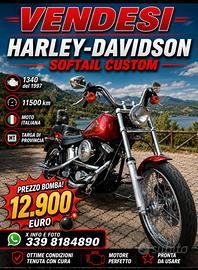 Harley Softail Custom 1340 Targa di Provincia BA