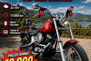 Harley Softail Custom 1340 Targa di Provincia BA