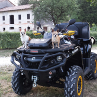 Autlander can-am 1000