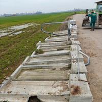 basamento in cemento per cuciette bovini