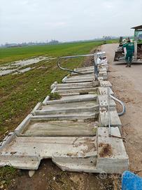 basamento in cemento per cuciette bovini