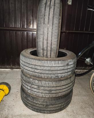 Gomme estive 