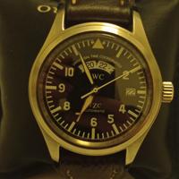 iwc tzc (gmt) anno '99