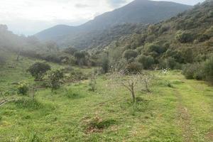 Dolianova,loc.Sa Matta, terreno agricolo 12 ettari