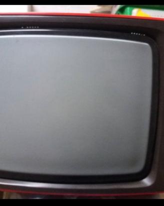 Televisore con radio incorporata Grundig